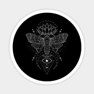 Satin Moth | Lotus Flower Magnet